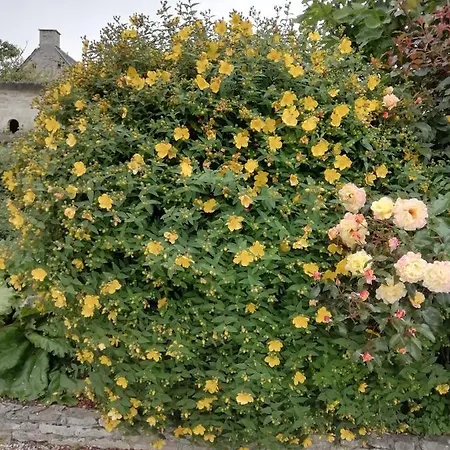 Victoria Arromanches
