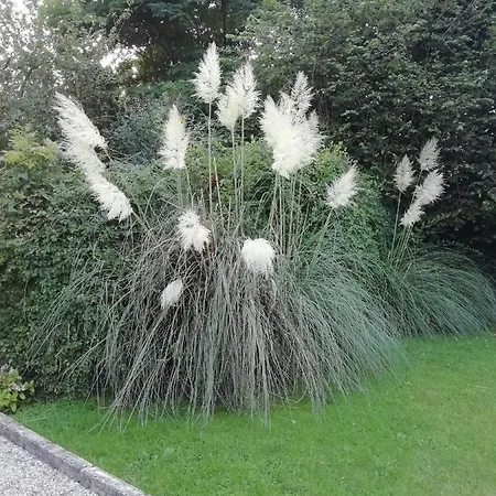 Victoria Arromanches 4* Tracy-sur-Mer