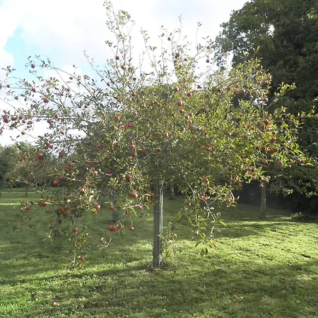 Victoria Arromanches