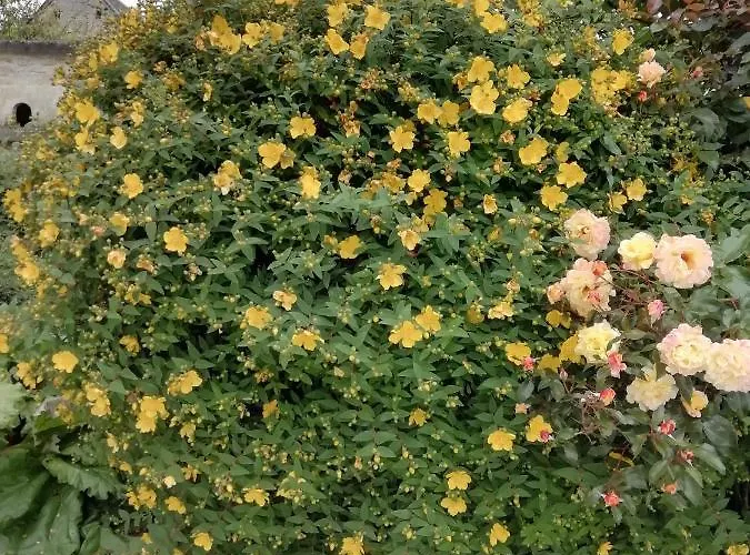 Victoria Arromanches