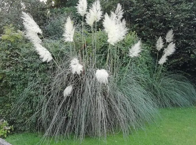 Victoria Arromanches 4* Tracy-sur-Mer