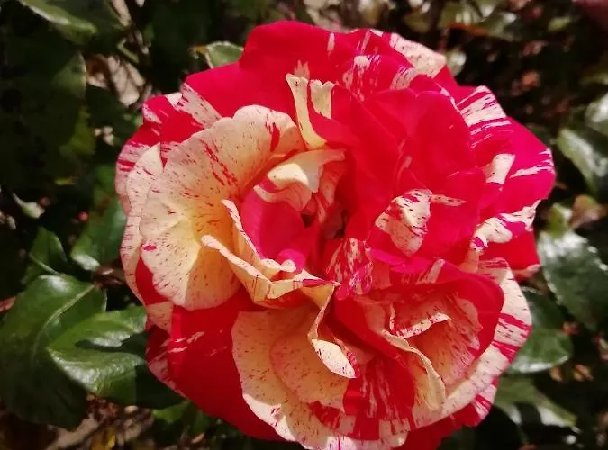 Victoria Arromanches Bed & Breakfast