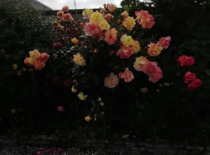 ベッド・アンド・ブレックファスト Victoria Arromanches