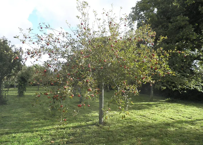 Victoria Arromanches