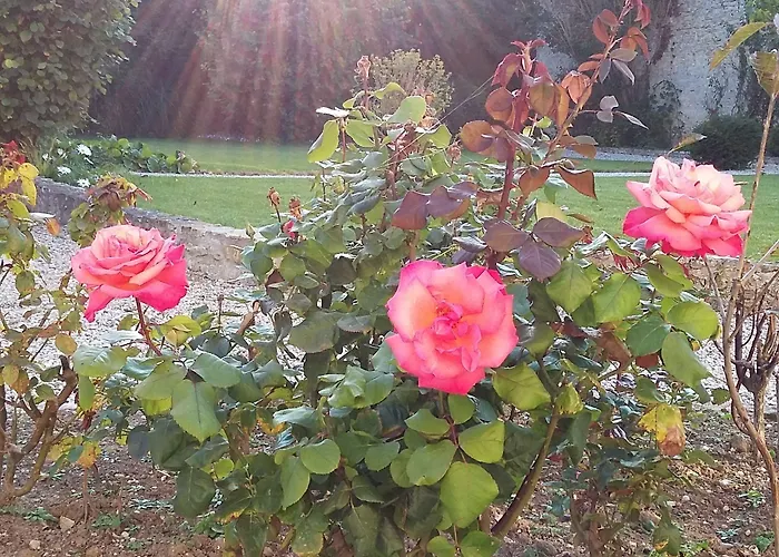 Bed & Breakfast Victoria Arromanches 4*